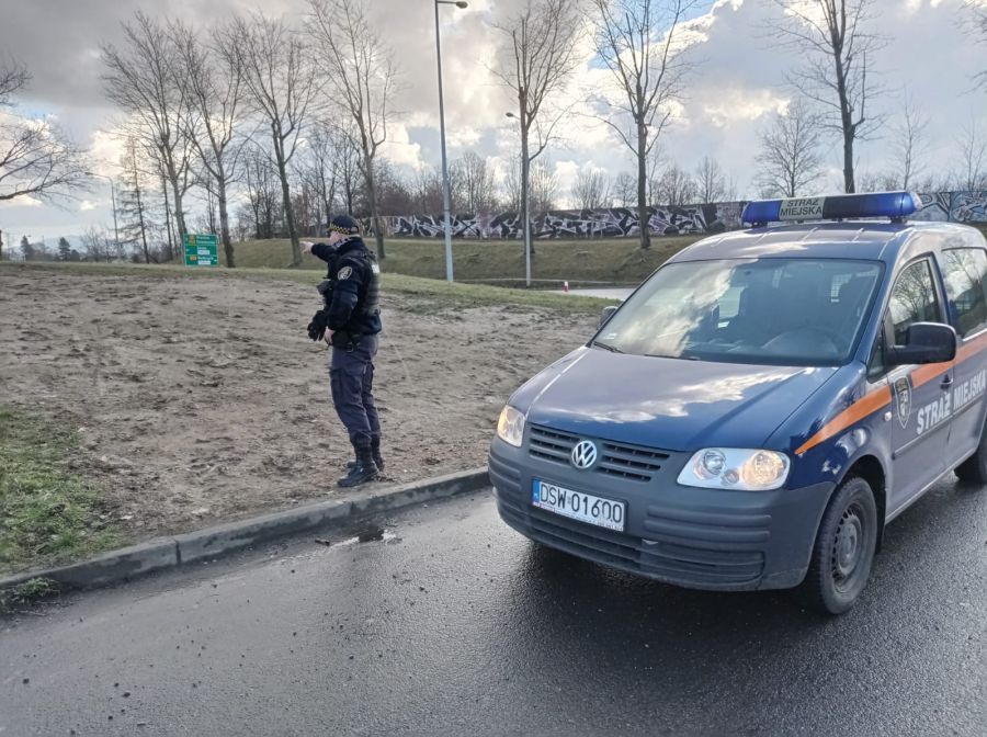 Świdnica: Różne interwencje