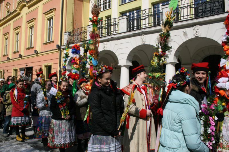 Świdnica: Najpiękniejsze palmy