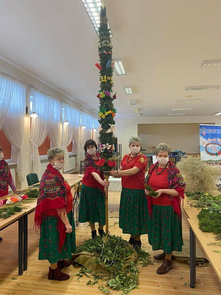 Gmina Świdnica: Najładniejsze palmy
