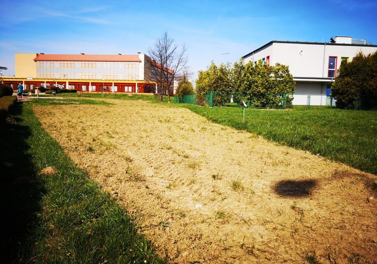 Żarów: Łąki kwietne