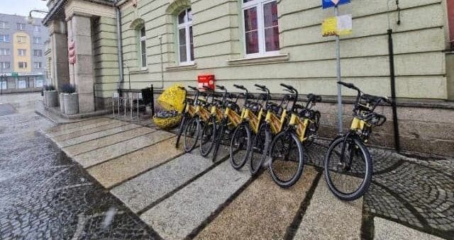 Strzegom: Sezon rozpoczęty