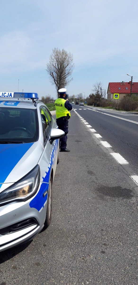 Świdnica/powiat świdnicki: Siedmiu przeholowało