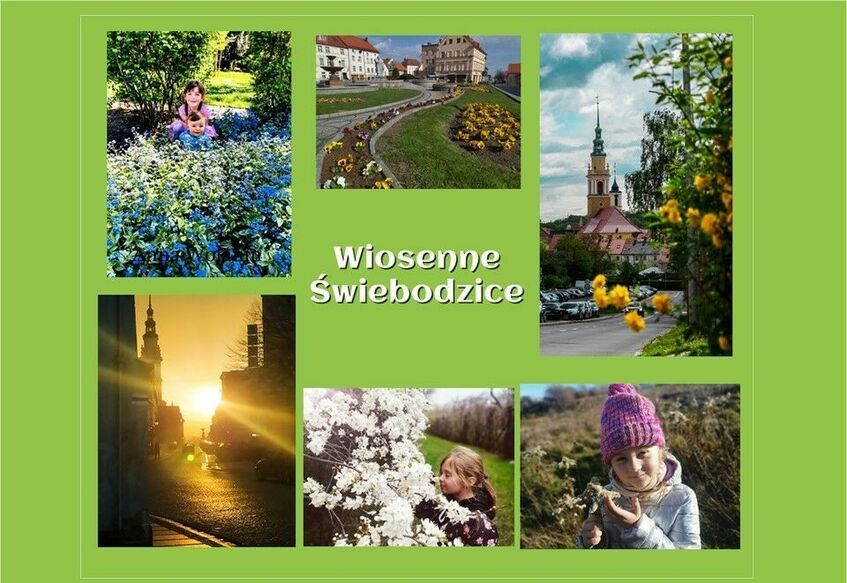 Świebodzice: Nagrodzeni za fotografie