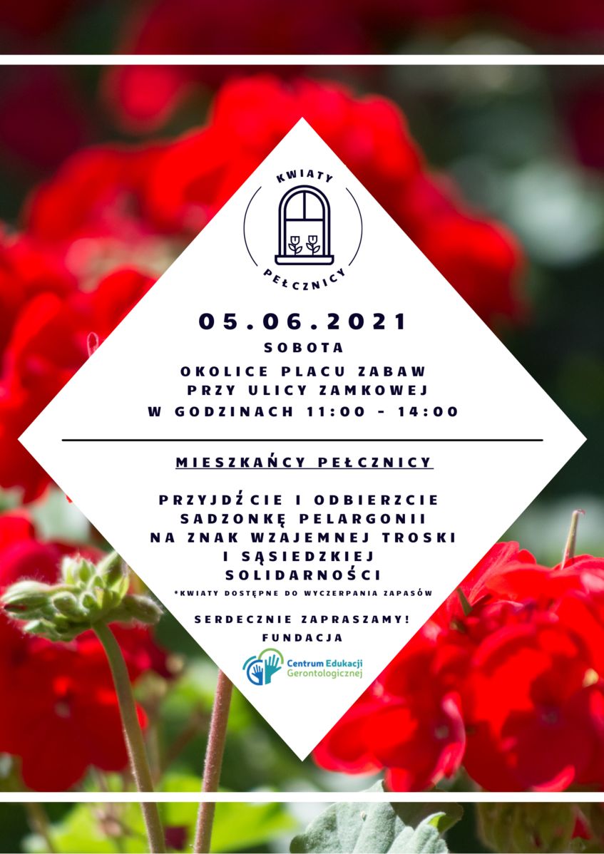 Świebodzice: Kwiaty Pełcznicy