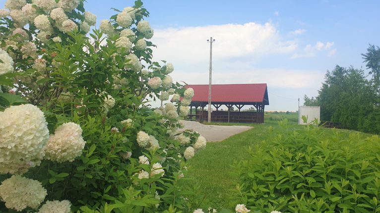 Kalno: Niezwykły widok