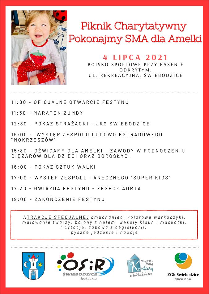 Świebodzice: Piknik charytatywny