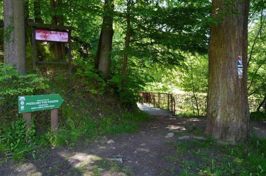 Świebodzice: Ścieżka otwarta