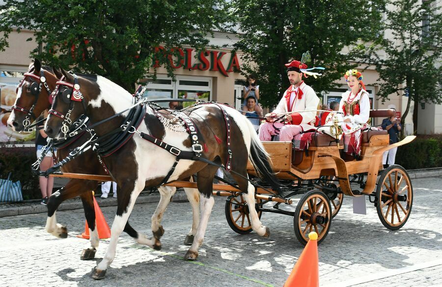 Świebodzice: Powróciło powożenie