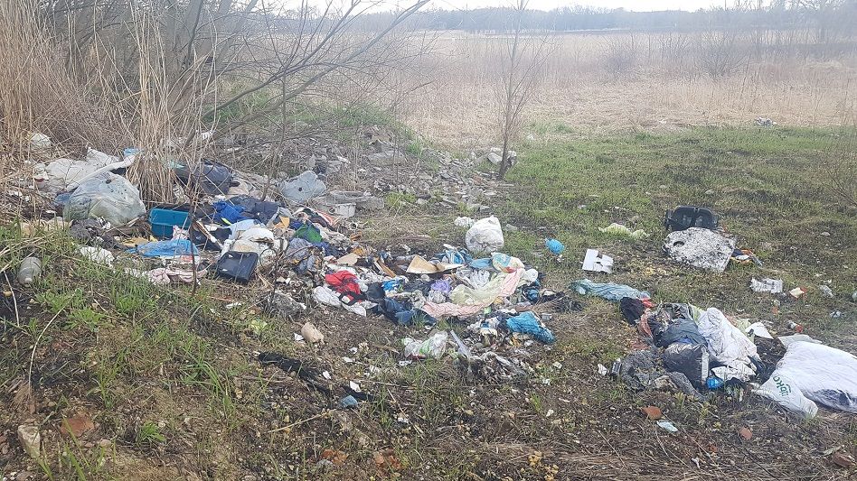 Świdnica: Fotopułapki was zaskoczą