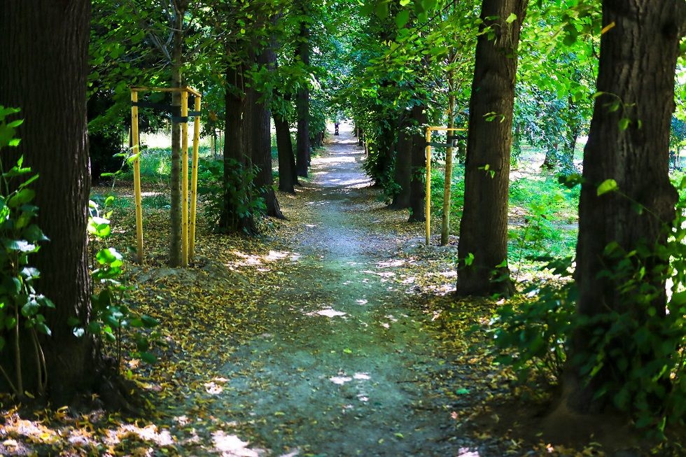 Świdnica: Rewitalizują park
