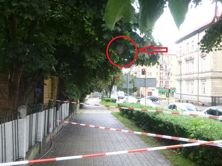 Świdnica: Interwencji nie ubywa
