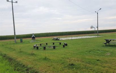 Buków: Robota wandali