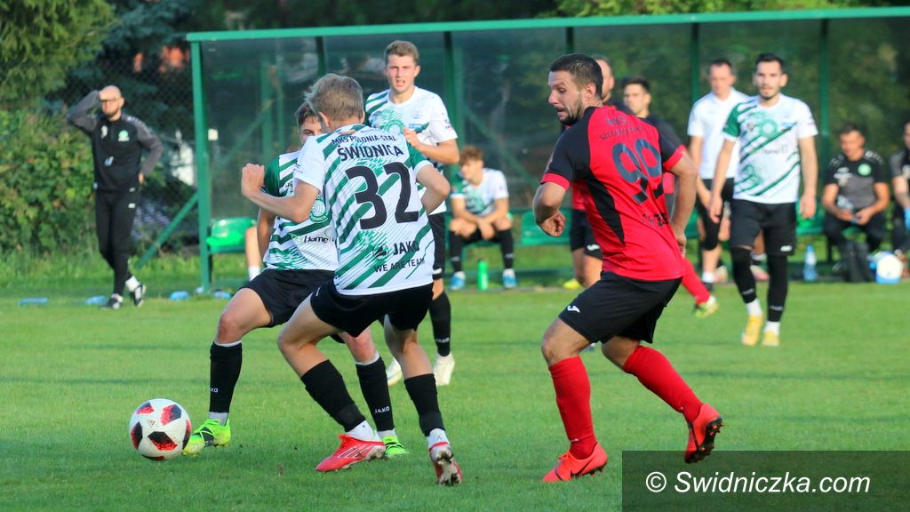 REGION: Polonia z pewnym awansem