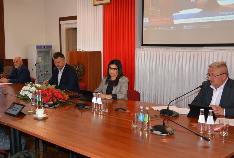 Strzegom: Przebudują Aleję Wojska