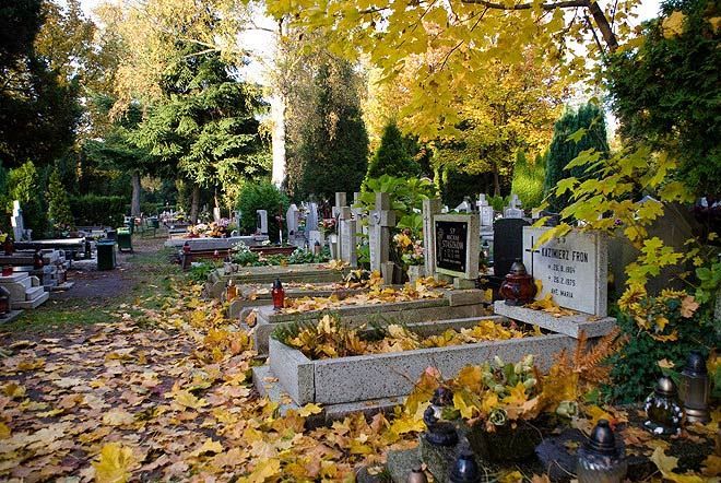 Świdnica: Zmiana organizacji
