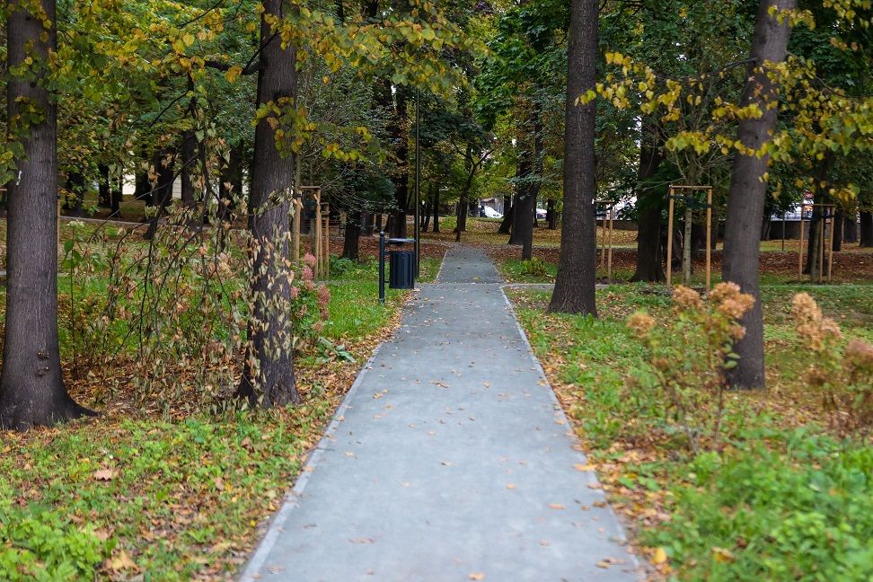 Świdnica: Więcej roślinności
