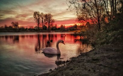 Żarów: Żarów w obiektywie