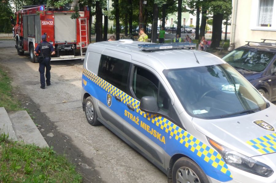 Świdnica: Wybrane interwencje