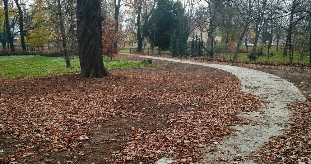 Rogoźnica: Ścieżka w Rogoźnicy