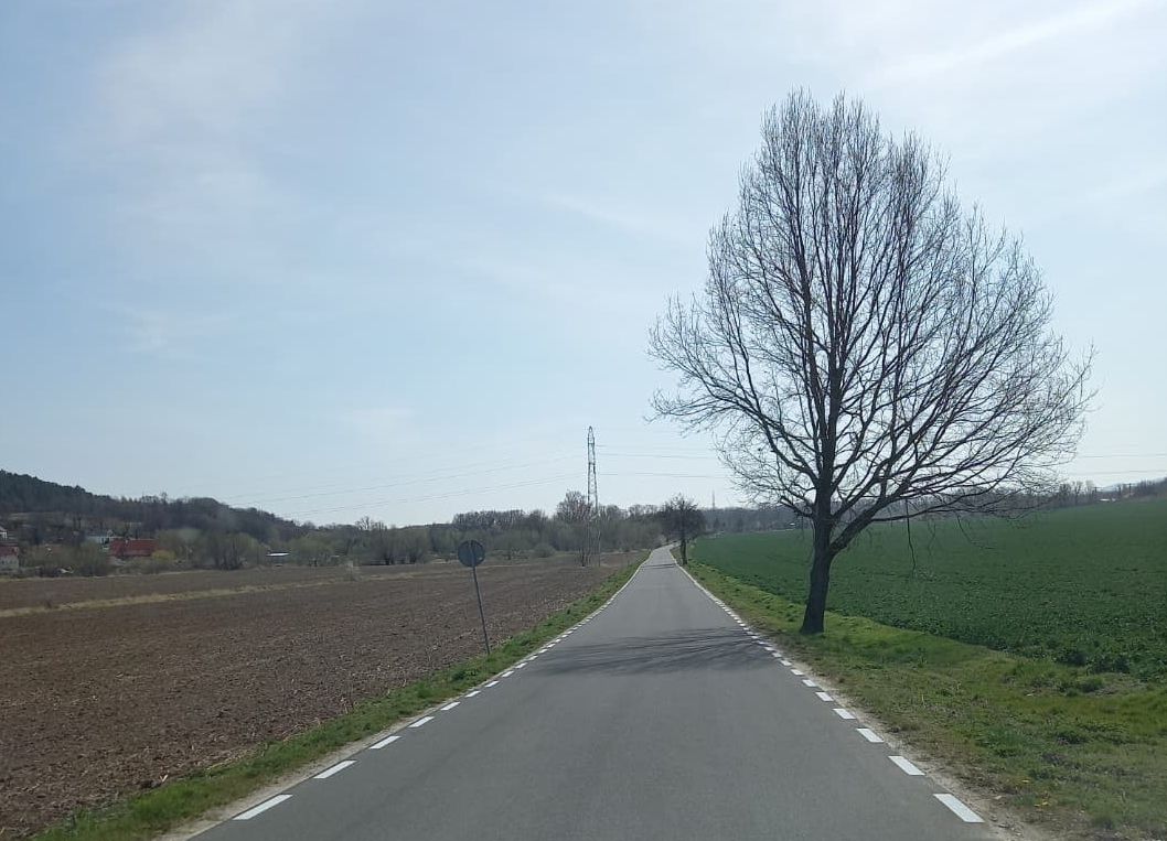 Gmina Świdnica: Malowanie oznakowania