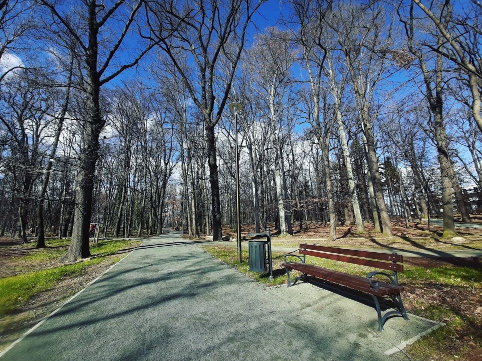 Świdnica: Więcej roślinności