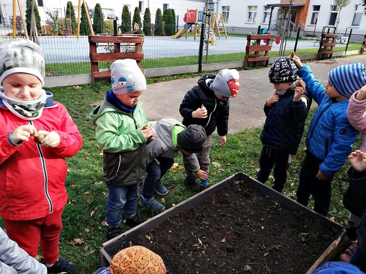 Bystrzyca Dolna: Ogrodowa pasja