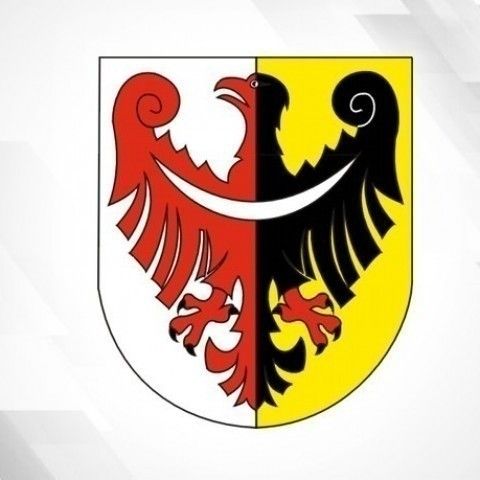 powiat świdnicki: Wybory ósmoklasistów