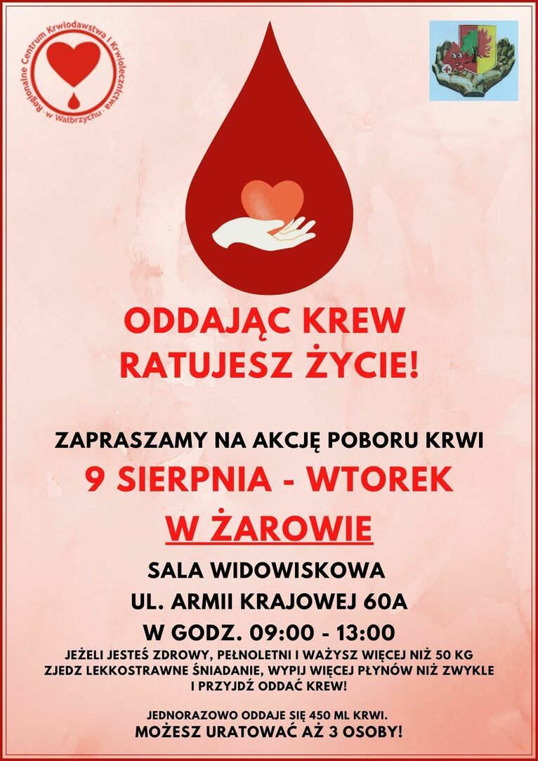 Żarów: Wakacyjna zbiórka