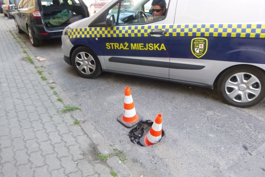 Świdnica: Strażnicy w akcji