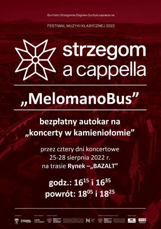 Strzegom: Ruszył festiwal