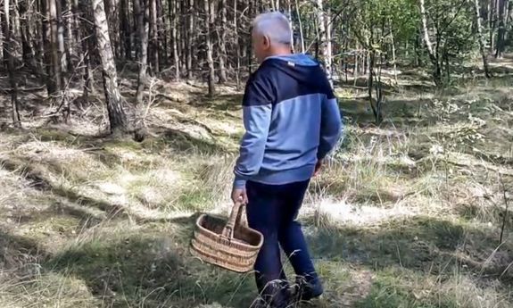 Świdnica/REGION: Uwagi dla grzybiarzy