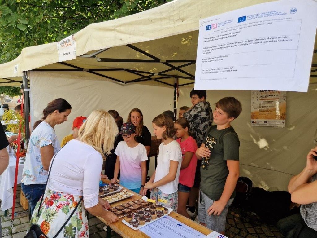 Świdnica: Wspólny projekt