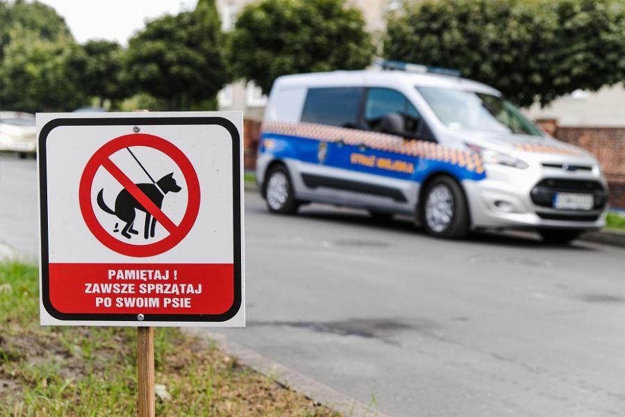 Świdnica: Interwencje strażników