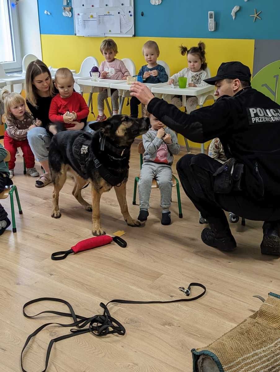 Świdnica: Wizyta u maluchów