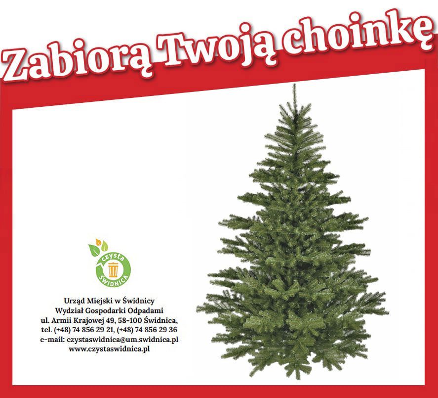Świdnica: Choinkowa zbiórka