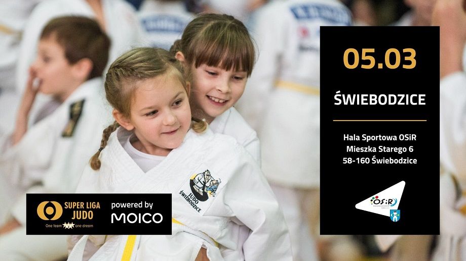 Świebodzice: Niedziela z judo