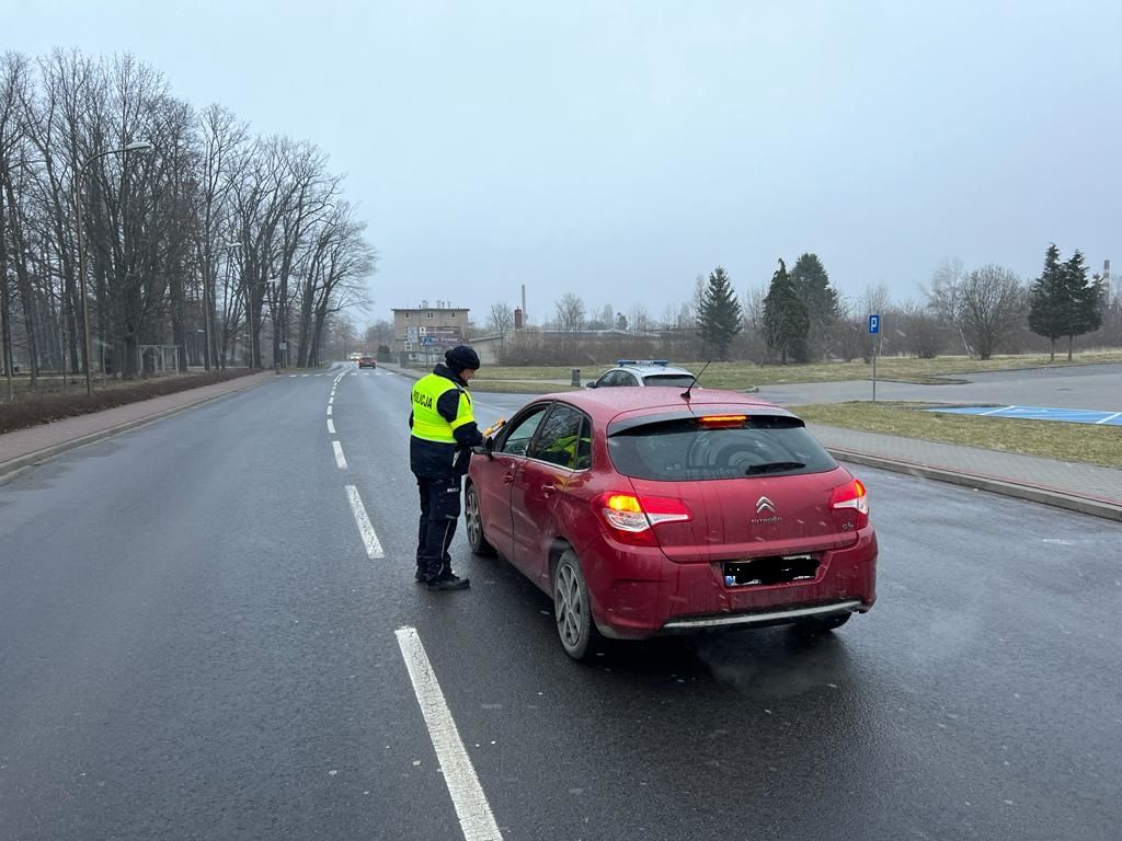 Świdnica/powiat świdnicki: Policyjna akcja