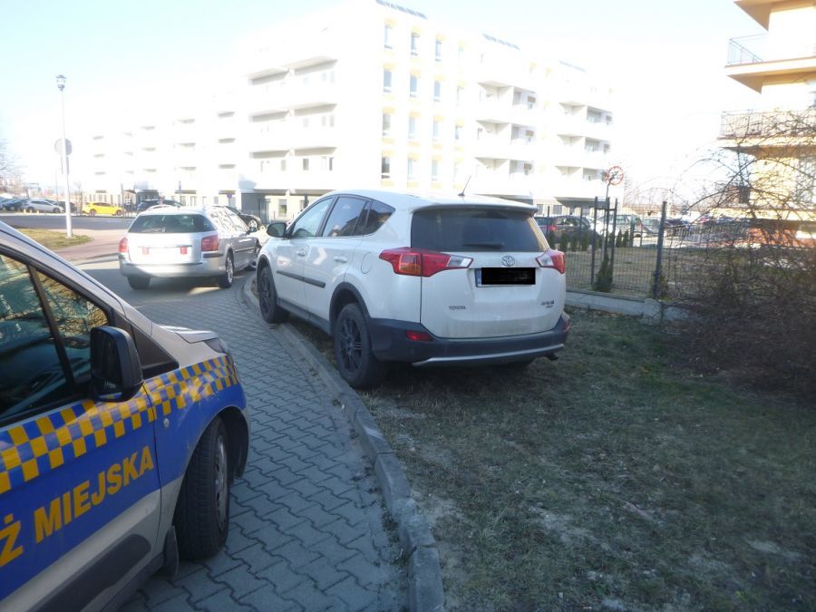Świdnica: Awanturujący się syn