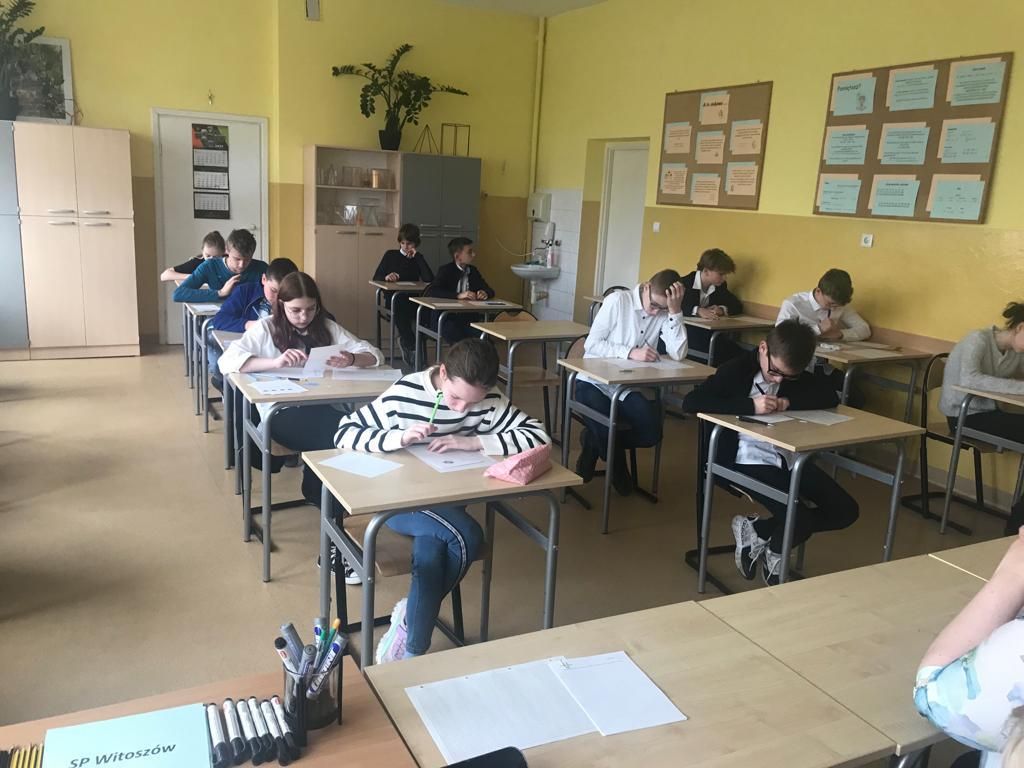 Witoszów Dolny: Najlepsi matematycy