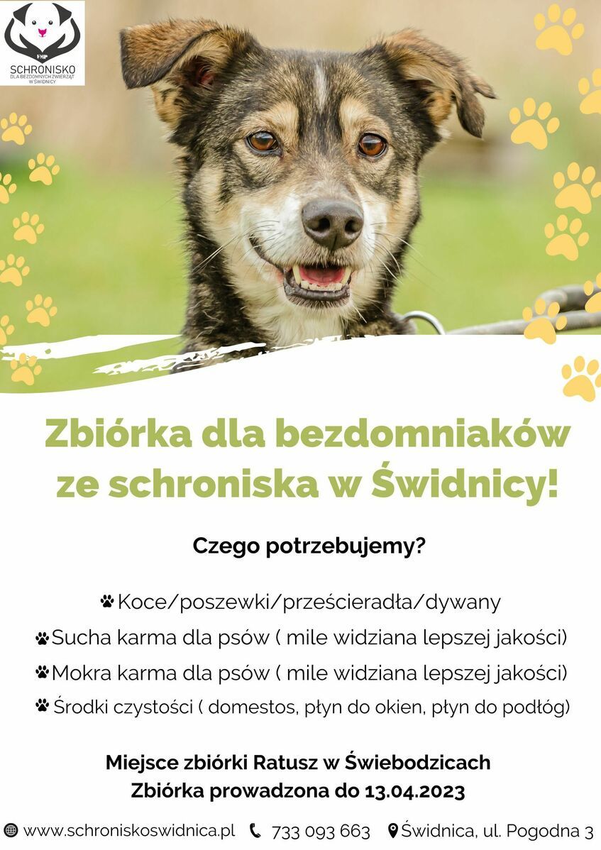 Świebodzice/Świdnica: Zbiórka dla bezdomniaków
