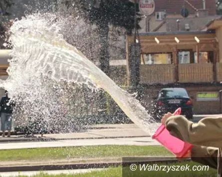 Świdnica/Kraj: Dziś Lany Poniedziałek