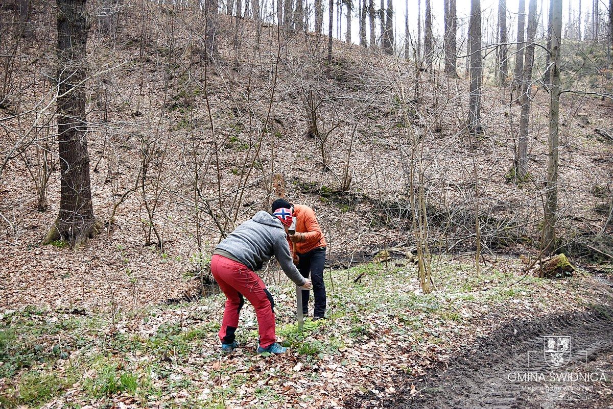 Gmina Świdnica: Powstanie trasa rowerowa