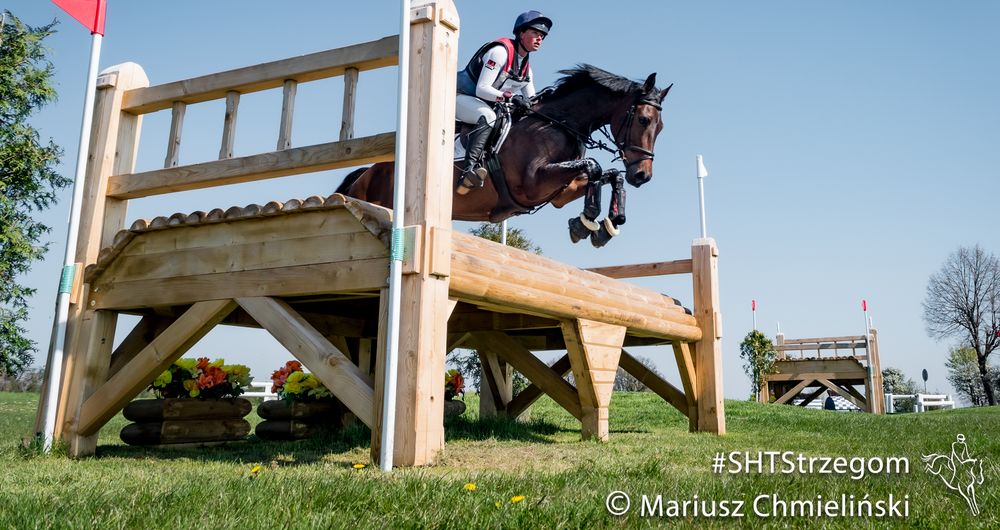Strzegom: Strzegom Spring Open
