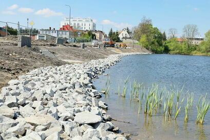 Żarów: Staw do rewitalizacji