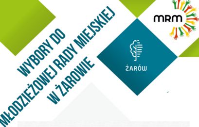 Żarów: Wybrali młodzieżową radę