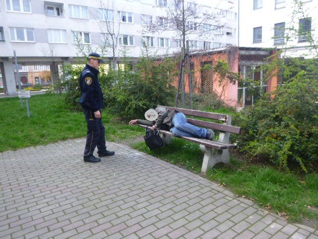 Świdnica: Interwencji było sporo