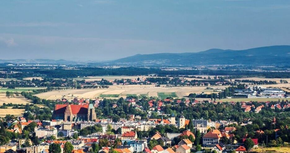 Strzegom: Mają koncepcję