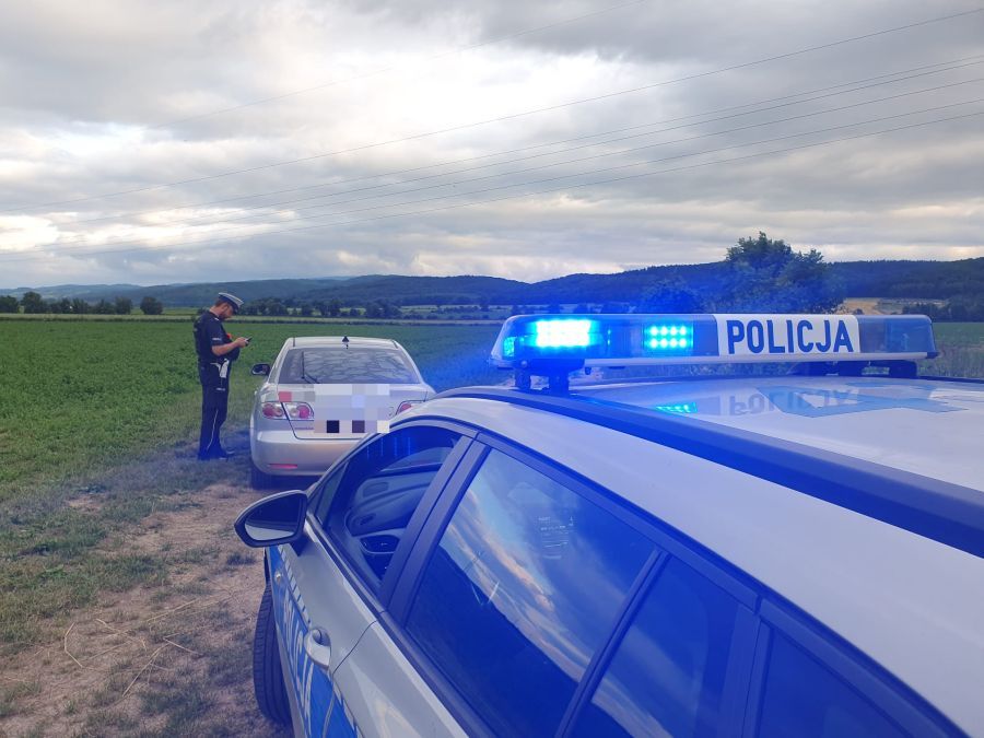 Modliszów: Kontrole w Modliszowie