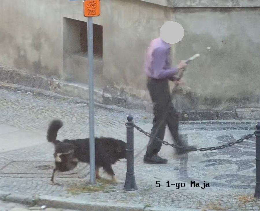 Świdnica: Nie sprzątał po psie