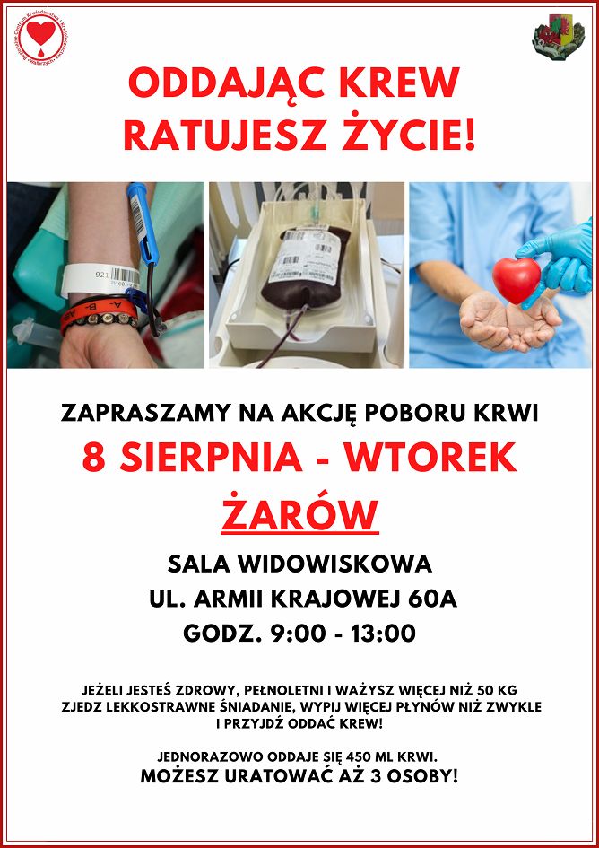 Żarów: Wakacyjna zbiórka